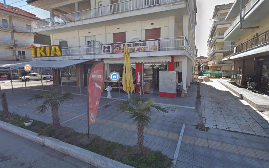 Armonia Apartment Paralia Katerinis